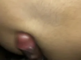 Pakistani pathan local sex video